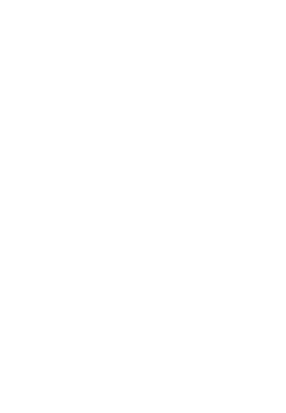 Via Magna logo